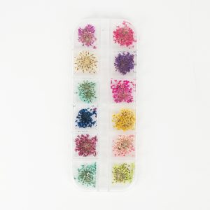 Nail Art Display XL – Trockenblumen – Flower Girl