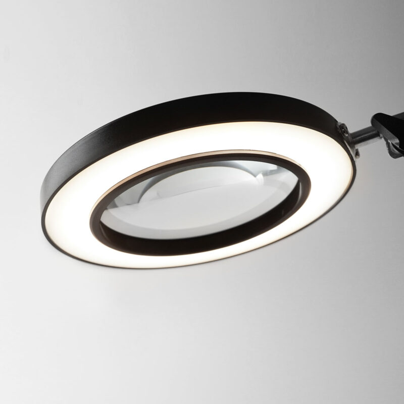 TL800001-natural-light