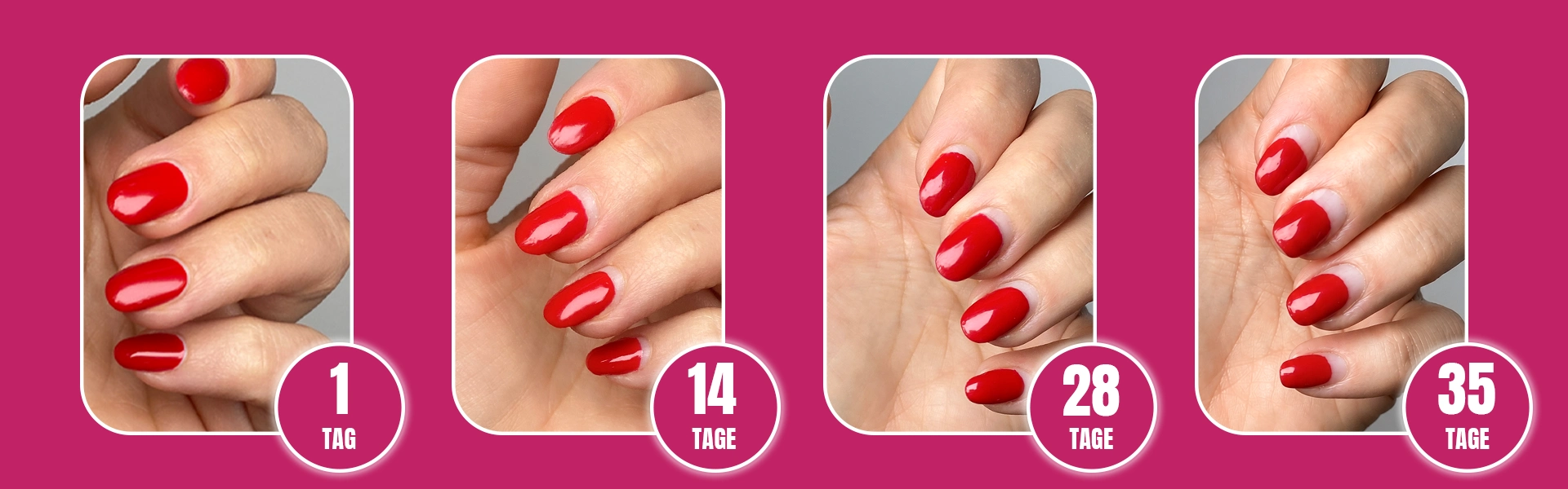 - biobased shellac,Shellac -