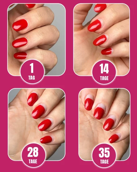- shellac,Shellac kaufen -