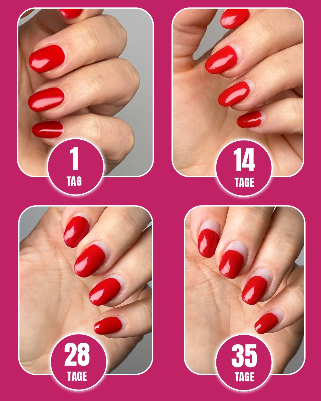 - biobased shellac,Shellac -